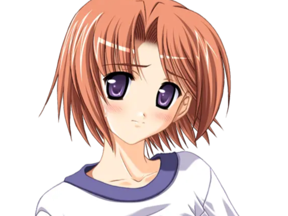 hoshino kasumi presence vn