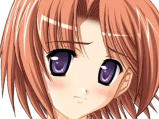 hoshino kasumi presence vn