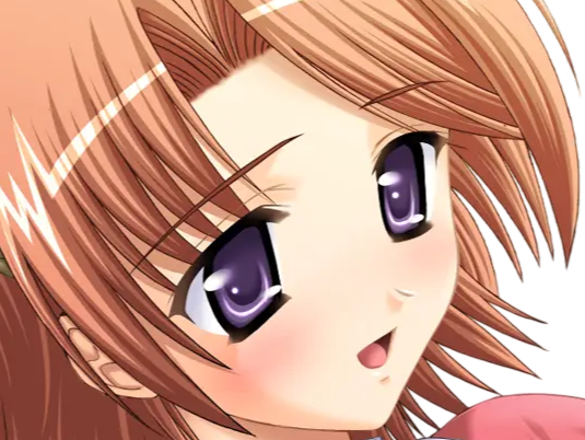 hoshino kasumi presence vn