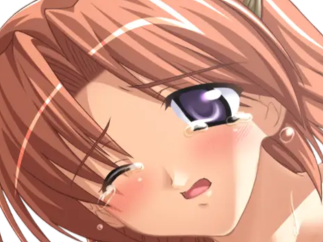 hoshino kasumi presence vn