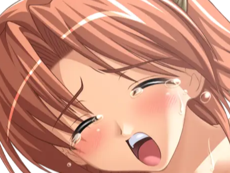 hoshino kasumi presence vn