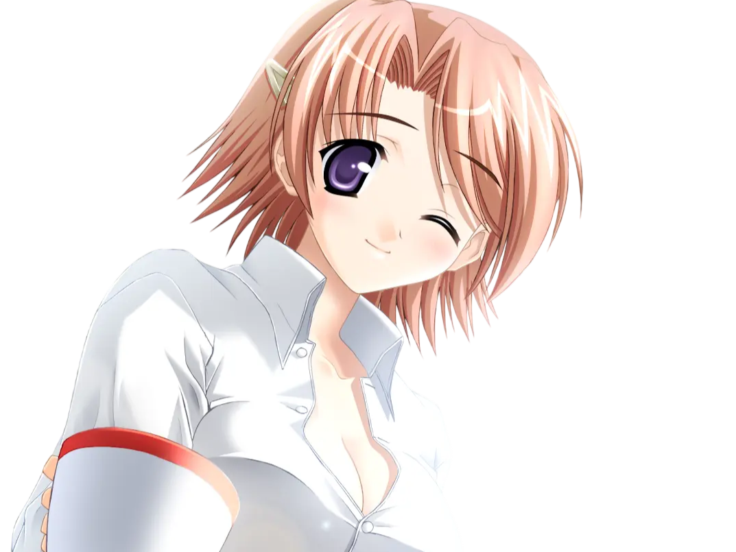 hoshino kasumi presence vn