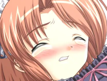 hoshino kasumi presence vn