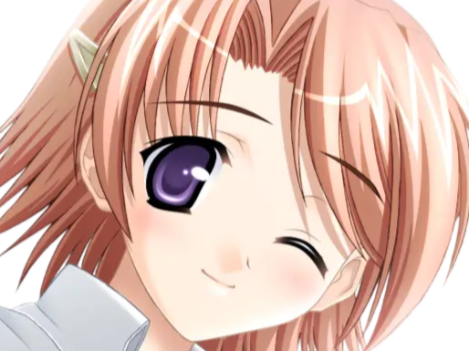 hoshino kasumi presence vn
