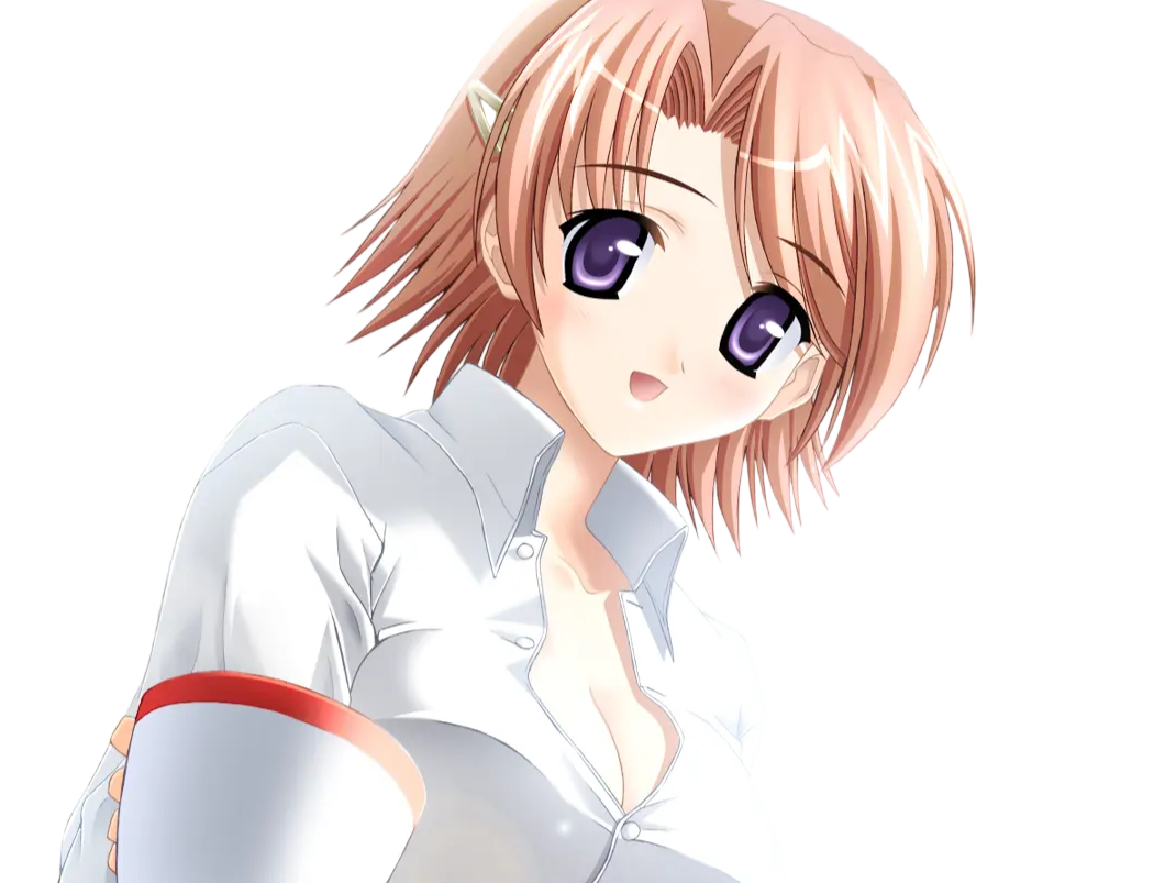 hoshino kasumi presence vn