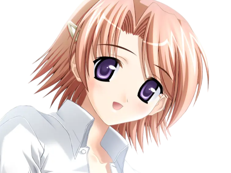 hoshino kasumi presence vn