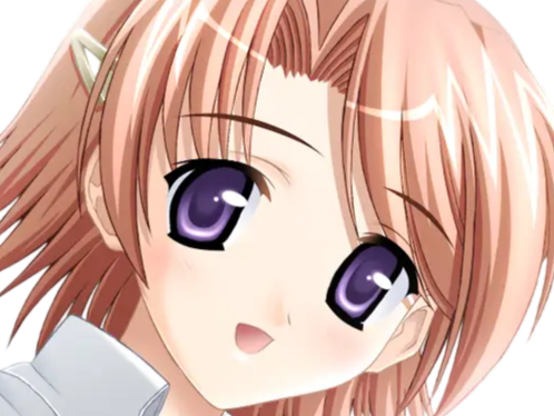 hoshino kasumi presence vn