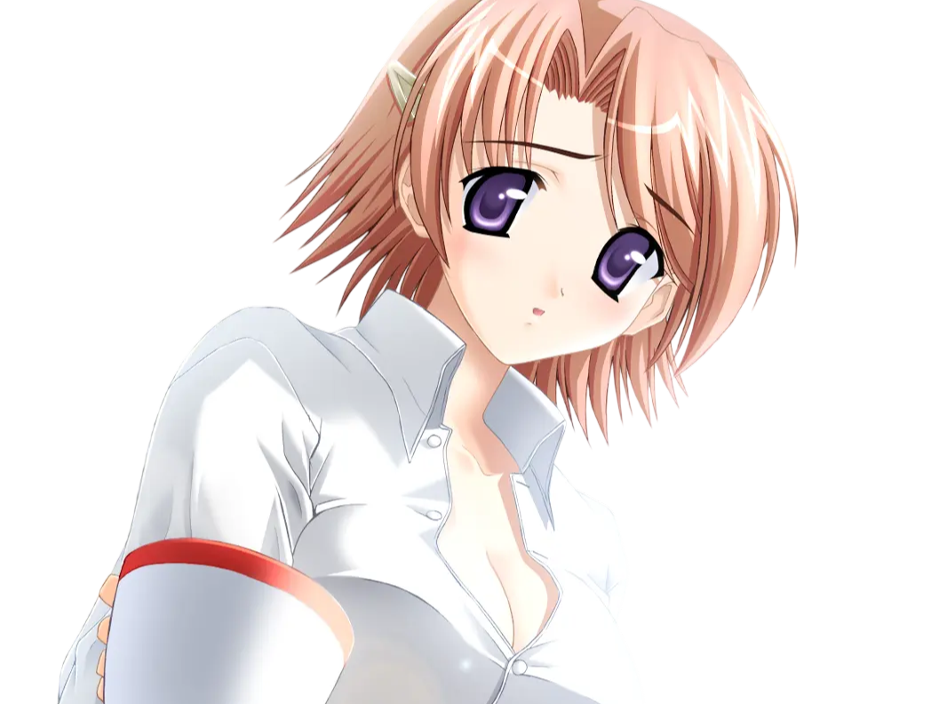 hoshino kasumi presence vn