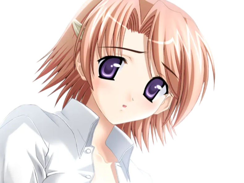 hoshino kasumi presence vn