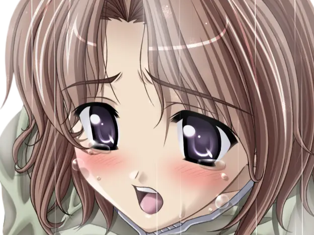 hoshino kasumi presence vn