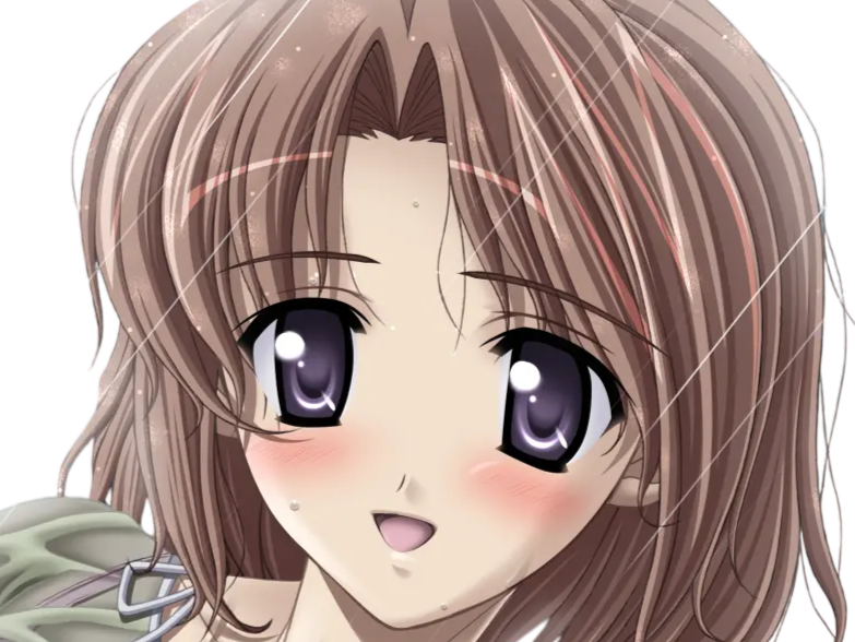 hoshino kasumi presence vn