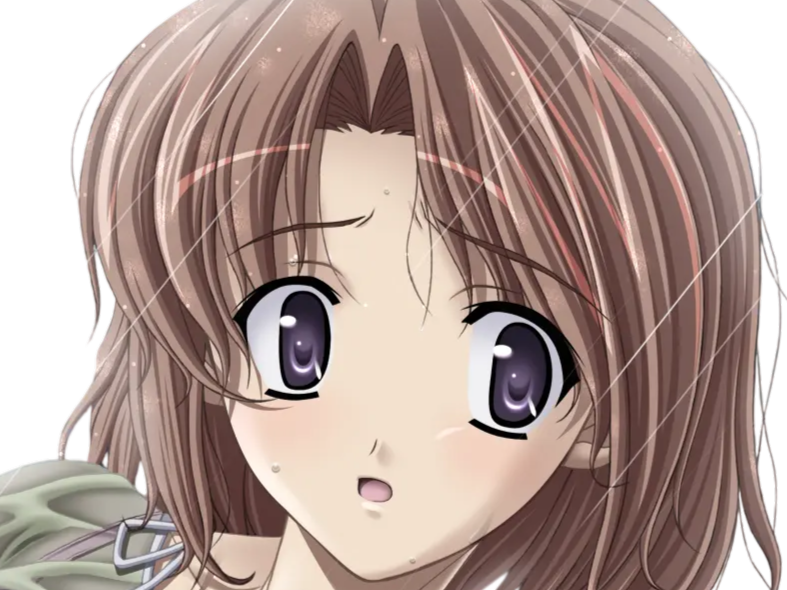 hoshino kasumi presence vn