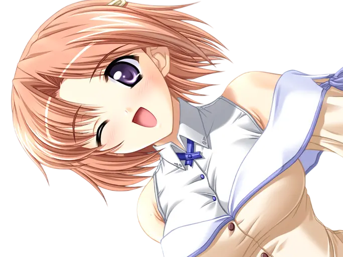 hoshino kasumi presence vn