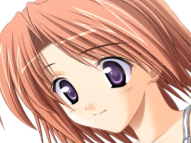 hoshino kasumi presence vn