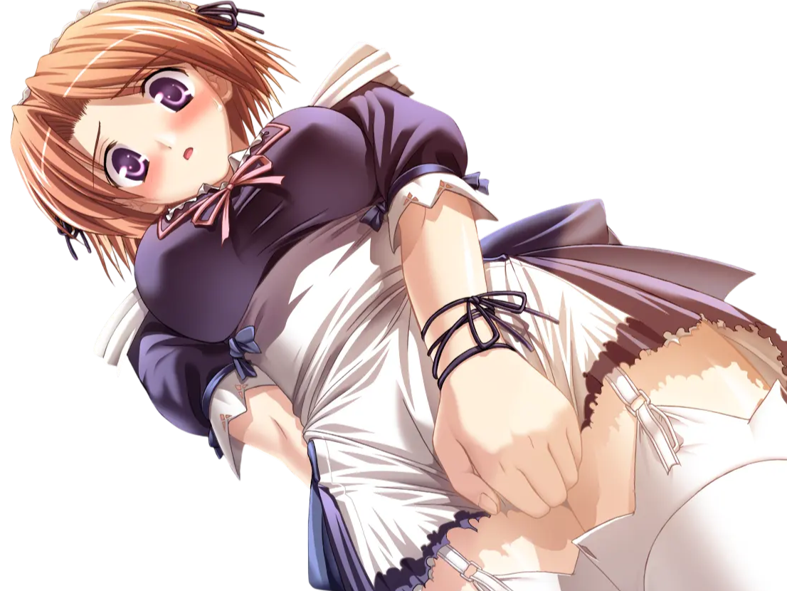 hoshino kasumi presence vn