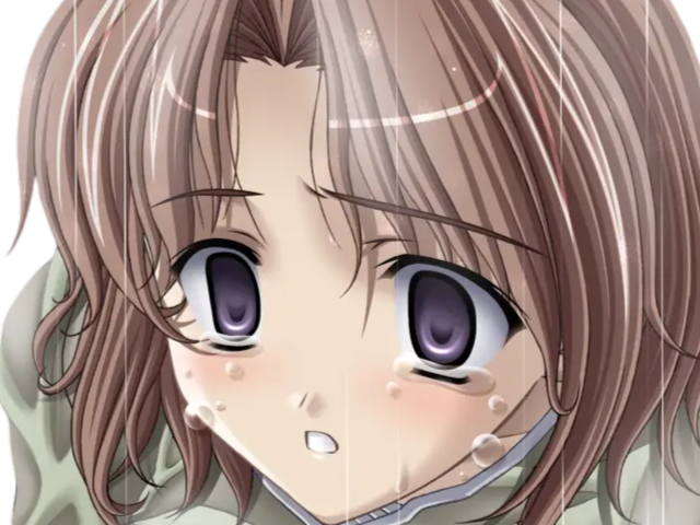 hoshino kasumi presence vn