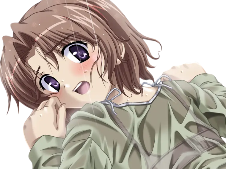 hoshino kasumi presence vn
