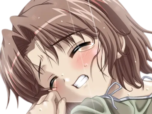 hoshino kasumi presence vn