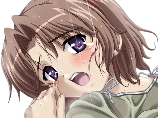 hoshino kasumi presence vn