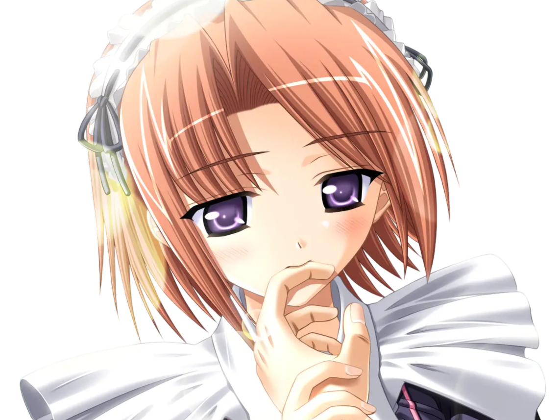 hoshino kasumi presence vn