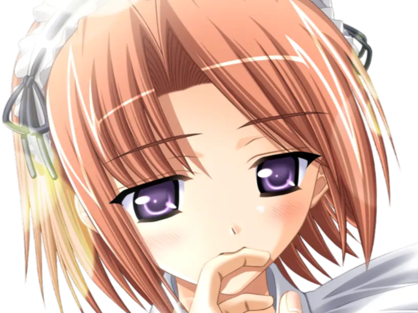 hoshino kasumi presence vn