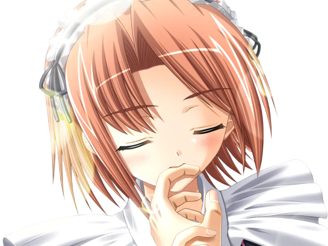 hoshino kasumi presence vn