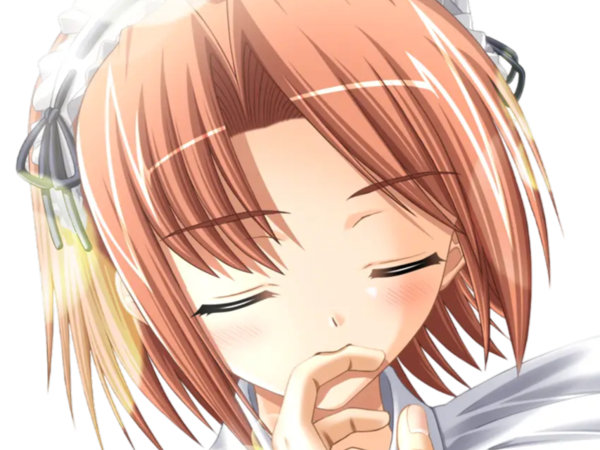 hoshino kasumi presence vn