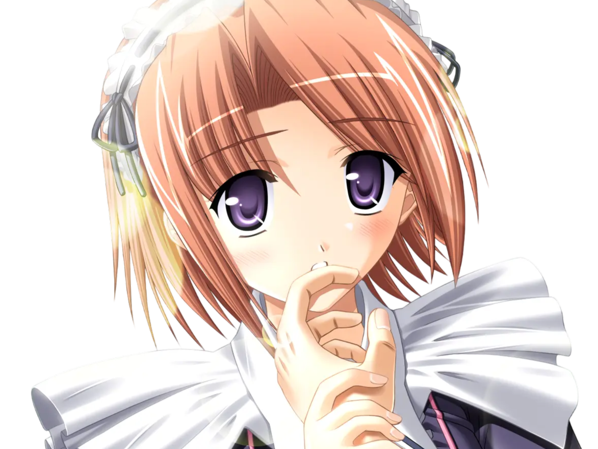 hoshino kasumi presence vn