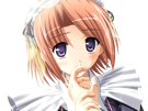 hoshino-kasumi-presence-vn