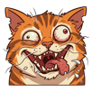 chat-fou-detraque-animal-chatte