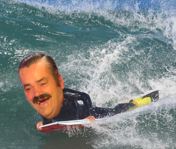 surf planche vague wave surfeur risitas
