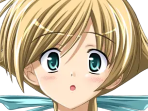kamina yuuki presence vn