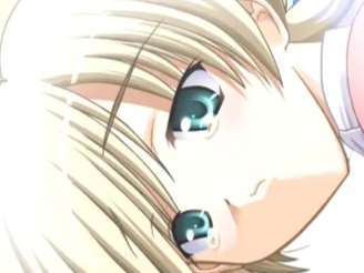 kamina yuuki presence vn