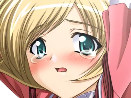 kamina yuuki presence vn