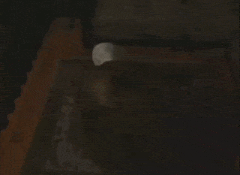 antoine de maximy jirai dormir chez vous jdcv usa zombie premier resident evil scene gif