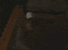 antoine-de-maximy-jirai-dormir-chez-vous-jdcv-usa-zombie-premier-resident-evil-scene-gif