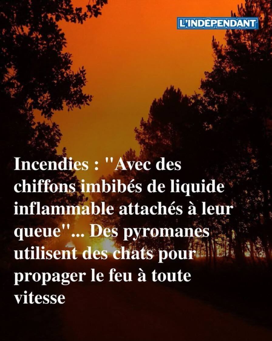 cendre afuera lava flame feux fuego solar crame volcan canicule pyro grille arson faits divers
