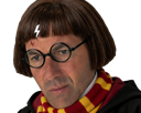zinedine-zidane-deception-triste-paz-qlf-algerie-football-honte-griffondor-harry-potter-mister-pottah-sorcier