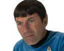 zinedine-zidane-deception-triste-paz-qlf-algerie-football-honte-star-trek-spock-uss-enterprise-espace