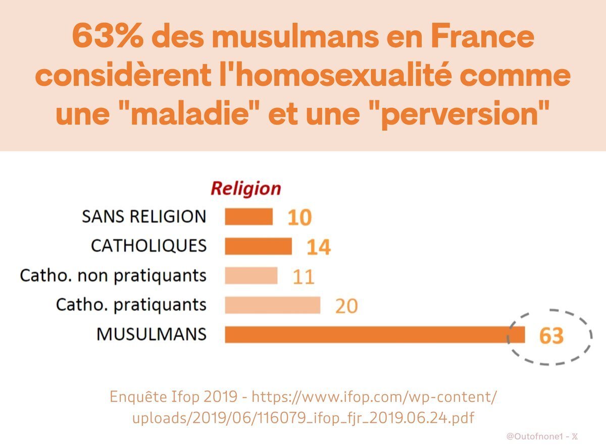 islam islamisation lgbt gay homo queer progres progressisme intersectionnalite stats statistique musulmans