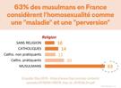 islam-islamisation-lgbt-gay-homo-queer-progres-progressisme-intersectionnalite-stats-statistique-musulmans