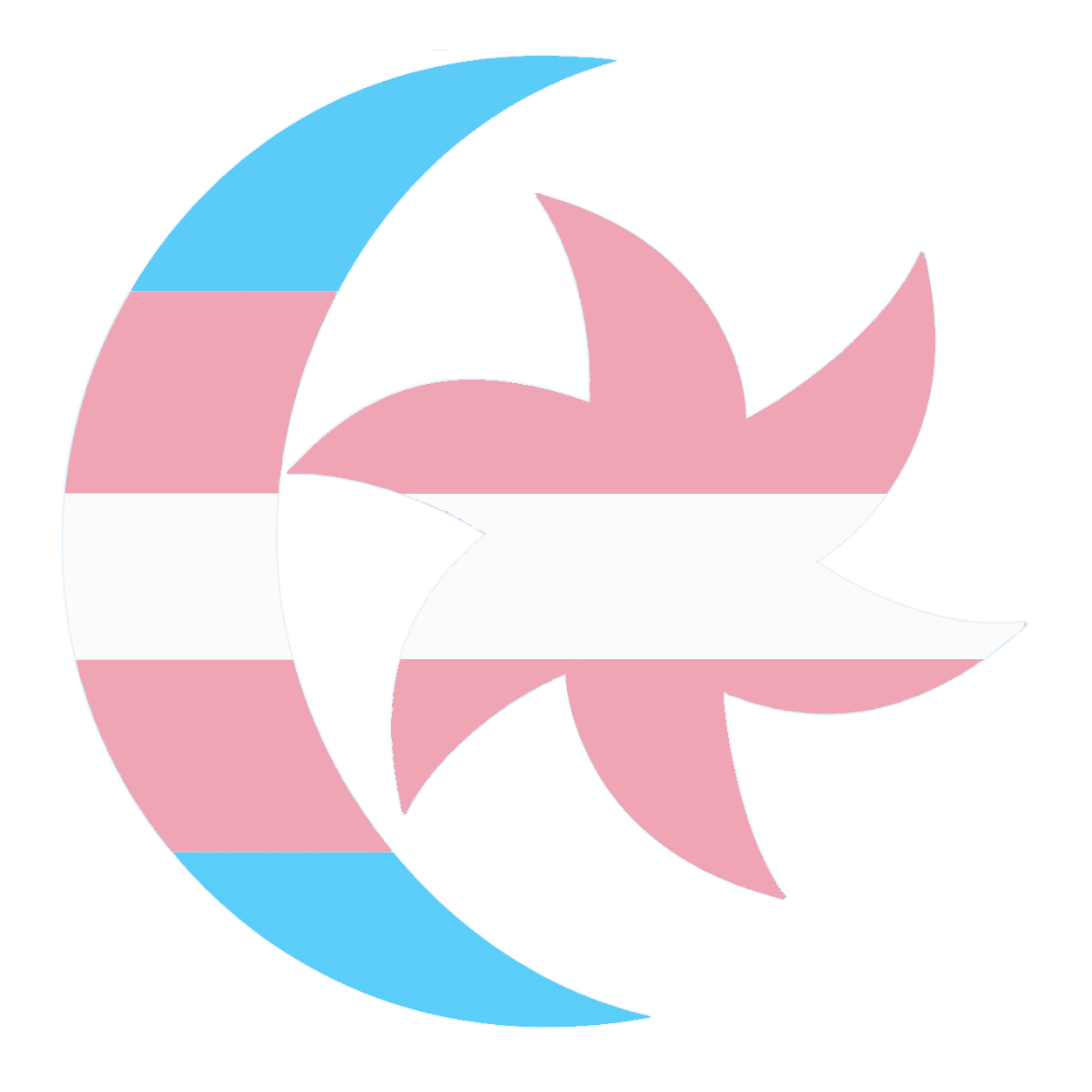 morrowind trans flag