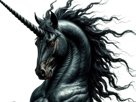 licorne-noire-skuld-fic-bloop