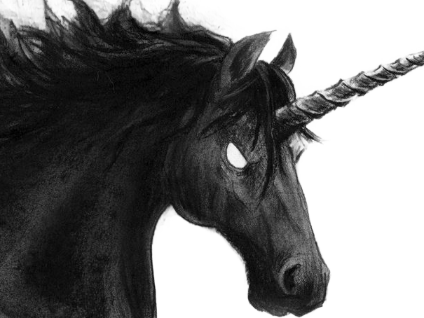 licorne noire skuld fic bloop