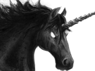 licorne-noire-skuld-fic-bloop