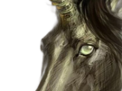 licorne-noire-skuld-fic-bloop