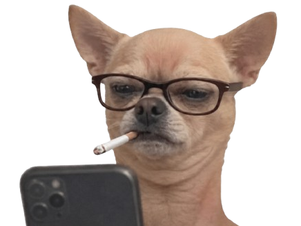 chien chihuahua smartphone telephone lunettes fume cigarette perplexe juge mepris meprisant boomer
