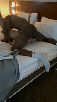 amat-pan-dna-nigga-kfc-afro-negre-racial-renoi-inter-blk-bck-bbc-mixed-raw