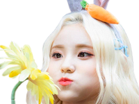 jinsoul loona kpop qlc lapin carotte fleur mignonne cute asiatique coreenne coreene 404noelshack nekoshinoa