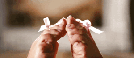 feet-pied-pieds-sydney-sweeney-soleil-sun